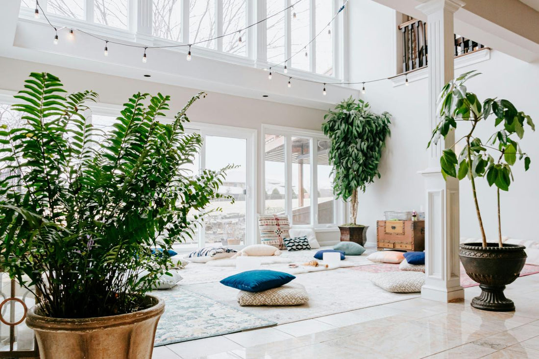 Create a Home That Helps You Heal, Not Just Live