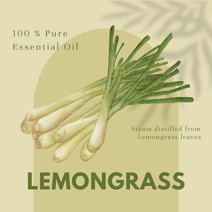 GreenHealth - Lemongrass Essential Oil - 16 fl oz - Aluminum Bottle - 100% - Image 4