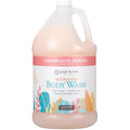 Ginger Lily Farms Botanicals Nourishing Body Wash, Champagne Mimosa, 100% Vegan by GingerLilyFarms