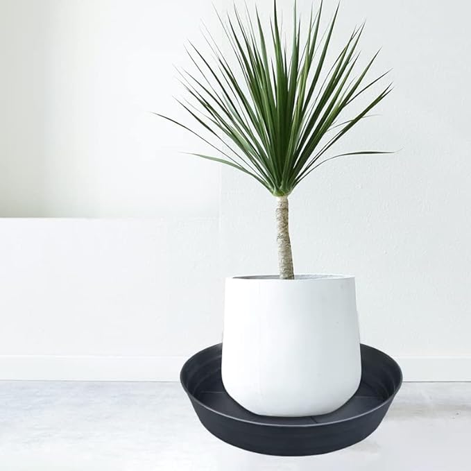 LWALRS Plant Saucer 14 Inch 2 Pack 10 12 14 16 18 20 25, Plastic Plant Trays - Image 3
