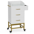 Paddie Beauty Salon Storage Trolley Cart, Glass Top Hair Station Cabinet by Paddie
