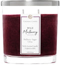Colonial Candle Wild Mulberry Scented Candle Jar, Highly Fragranced Candles by ColonialCandle