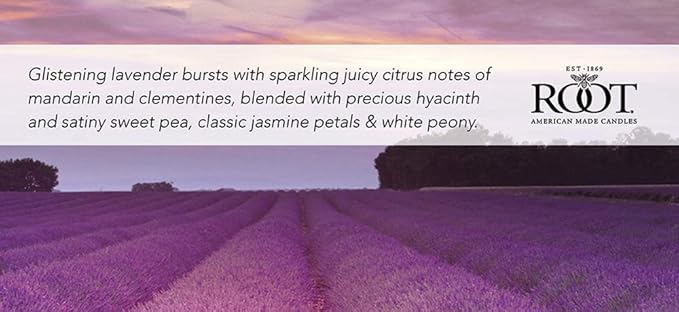Root Candles Scented Candles Honeycomb Glass Premium Handcrafted Beeswax Blend - Image 3
