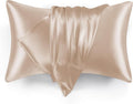 Love's cabin Satin Pillowcase Set of 2 Standard Size 20x26, Cooling Pillow by Lovescabin