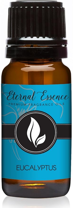 Eucalyptus Premium Grade Fragrance Oil - 10ml - Scented Oil by EternalEssenceOils