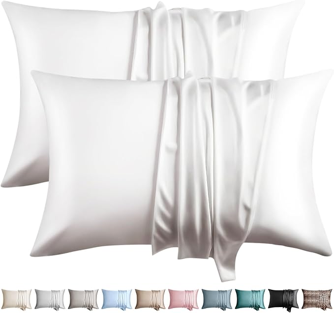 100% Silk Pillow Cases 2 Pack Queen Size Mulberry Silk Pillowcase by WLOSJ