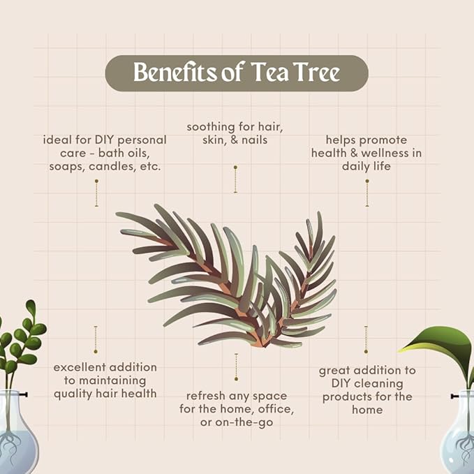 2 Bottles - 16 fl oz Tea Tree Essential Oil, Aluminum Bottle - GreenHealth - Image 4