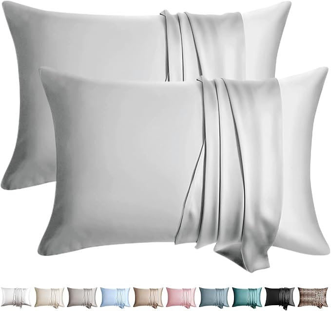 100% Silk Pillow Cases 2 Pack King Size Mulberry Silk Pillowcase by WLOSJ