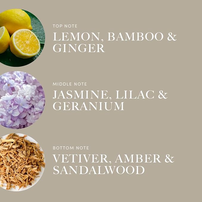 Aroma360 | Champagne Supernova Pro-Pod Oil Blend | Luxury Hotel Inspired - Image 3
