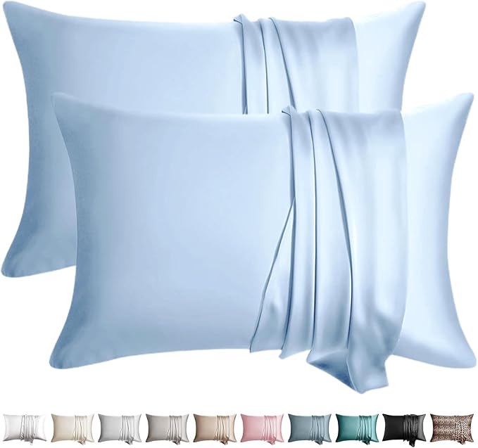 100% Silk Pillow Cases 2 Pack Standard Size Mulberry Silk Pillowcase by WLOSJ