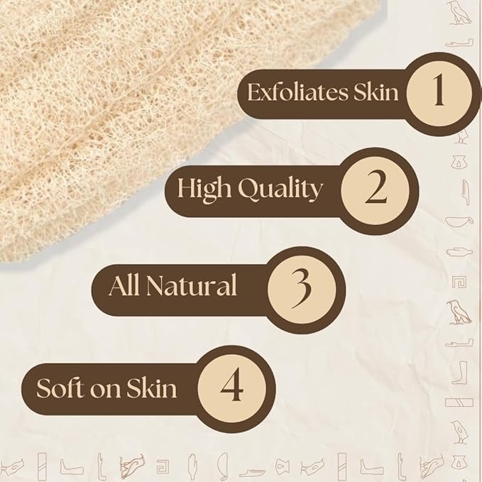 One Whole Egyptian Loofah 100% Natural SPA Beauty Bath Sponge Body Scrubber - Image 3
