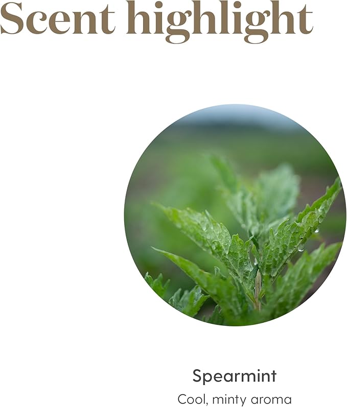 Spearmint Essential Oil 5ml by Young Living - Image 5