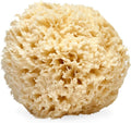 LATHER - Natural Sea Wool Sponge, 4-5" - Organic Exfoliating Body Scrubber - by LATHER