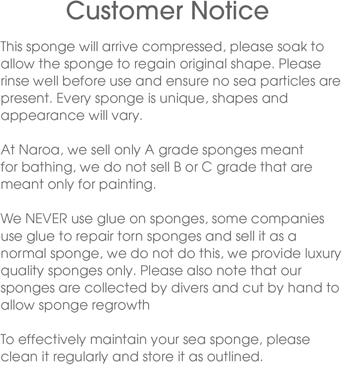 Naroa Soft Natural Sponge Large | Gentle Sea Loofah - Image 7