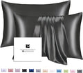Ravmix Silk Pillow Cases 2 Pack by Ravmix