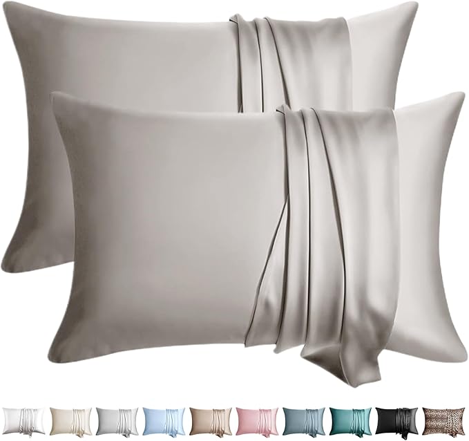100% Silk Pillow Cases 2 Pack King Size Mulberry Silk Pillowcase by WLOSJ