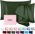 Silk Pillow Cases 2 Pack Mulberry Silk Pillowcase Soft Breathable Both Sided by Casbrove