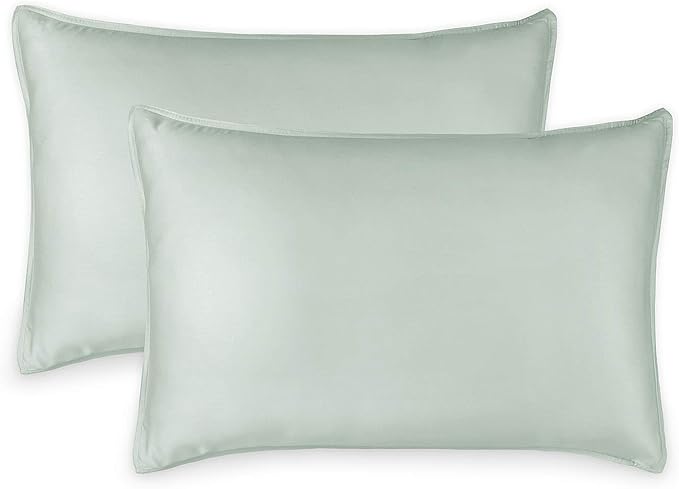 Queen Pillowcases by Pure Bamboo, Genuine 100% Organic Viscose Derived from by PureBamboo