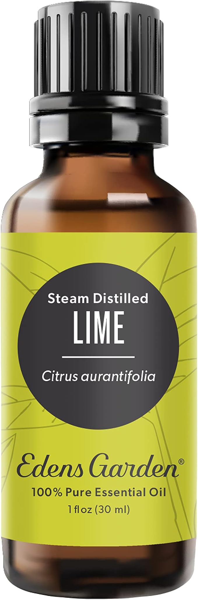 Edens Garden Lime- Steam Distilled Essential Oil- 100% Pure Premium Grade by EdensGarden