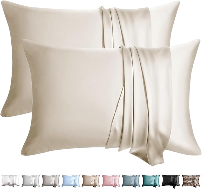 100% Silk Pillow Cases 2 Pack Standard Size Mulberry Silk Pillowcase by WLOSJ