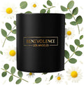 Benevolence LA Eucalyptus & Chamomile Christmas Scented Candles | Soy Candles by BenevolenceLA