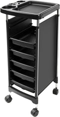 Salon Trolley Cart with Wheels & 5 Drawers, Salon Rolling Stations by Roixeeds
