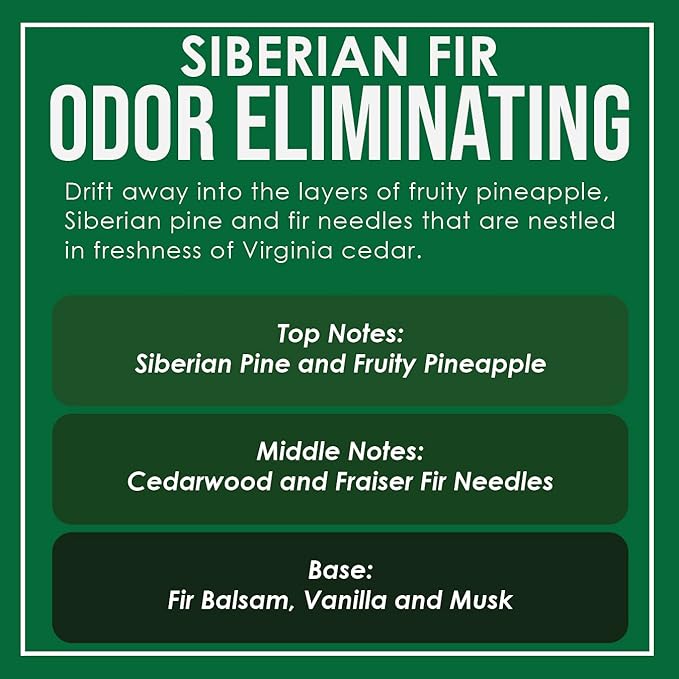 Siberian Fir Odor Eliminating Highly Fragranced Candle - Image 4