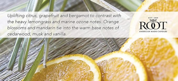 Root Candles Scented Candles Honeycomb Beeswax Blend Premium Handcrafted Candle - Image 6