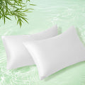 Homiest Cooling Pillow Cases Queen Size Set of 2, 100% Rayon Derived from by Homiest