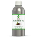 SVA Clove Bud Essential Oil – 32 Fl Oz – 100% Natural Clove Bud Oil by SVAORGANICS