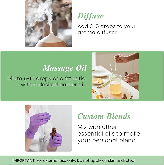 Handcraft Blends Basil Essential Oil – 0.33 Fl Oz – Pack of 2 – 100% Pure and - Image 4