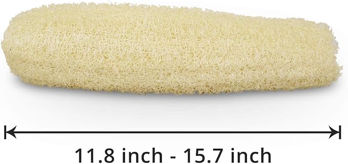 Natural Organic Loofah Sponges Large Exfoliating Shower Bath Loofah Luffa Loofa - Image 2