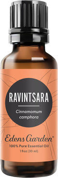Edens Garden Ravintsara Essential Oil- 100% Pure Premium Grade, Therapeutic by EdensGarden