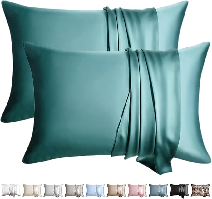 100% Silk Pillow Cases 2 Pack Standard Size Mulberry Silk Pillowcase by WLOSJ