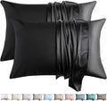 100% Silk Pillow Cases 2 Pack Queen Size Mulberry Silk Pillowcase by WLOSJ