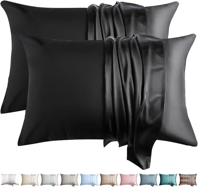 100% Silk Pillow Cases 2 Pack Standard Size Mulberry Silk Pillowcase by WLOSJ