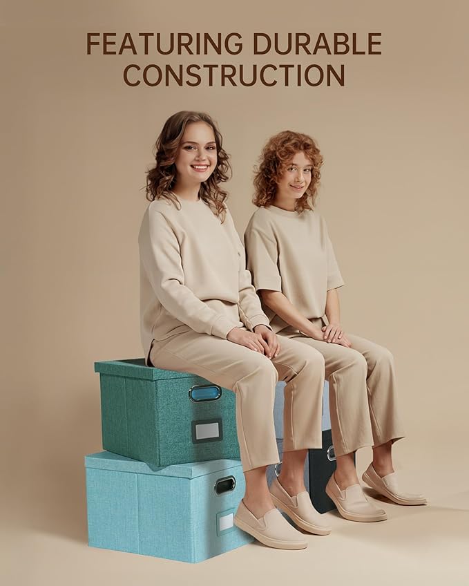 2 Pack File Storage Organizer, Filing Box, Portable File Box with Lid, Fit for Letter/Legal File Folder Storage, Document Organizer, Black