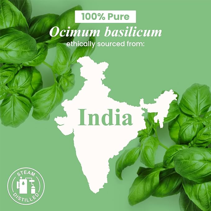 Handcraft Blends Basil Essential Oil – 0.33 Fl Oz – Pack of 2 – 100% Pure and - Image 5