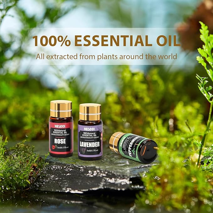 NESCCI Essential Oil Gift Set, for Diffuser, Humidifiers, Essential Oil Set for - Image 2
