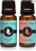 Eternal Essence Oils 2 Pack 10ml Premium Fragrance Oil by EternalEssenceOils