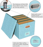 Oterri File Organizer Box with Lid, Portable Hanging File Box for Letter/Legal File Folder Storage, Office/Decor/Home, 1 Pack, Light-blue