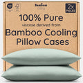 Bambaw 100% Viscose Derived from Bamboo Pillow Cases Queen Size Set of 2 by Bambaw
