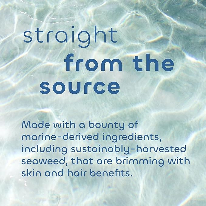 Seaweed Bath Co. Calm Body Scrub, Vetiver Geranium Scent, 6 Ounce, Sustainably - Image 4
