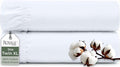 Royale Linens 100% Organic Cotton 2 Pack Fitted Sheet by ROYALELINENS