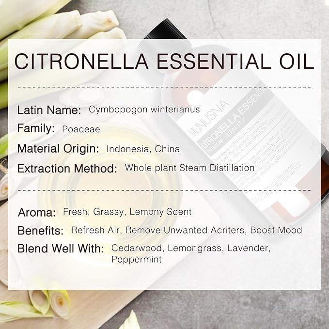 Citronella Essential Oil 100ML, 100% Pure Natural Citronella Oil Premium Grade - Image 3