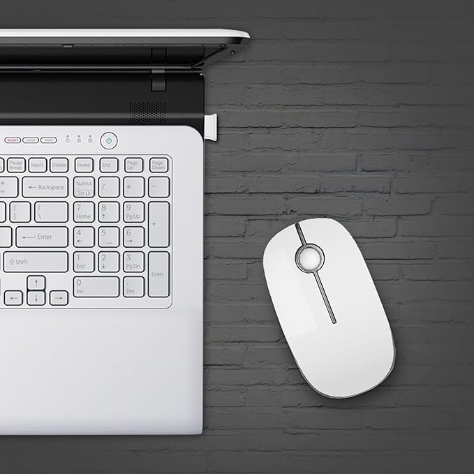 VssoPlor Wireless Mouse, 2.4G Slim Portable Computer Laptop Mouse with Nano Receiver Quiet Silent Optical Mice for Notebook, PC, Laptop, Computer-White and Silver