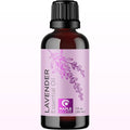 Pure Lavender Essential Oil by MapleHolistics