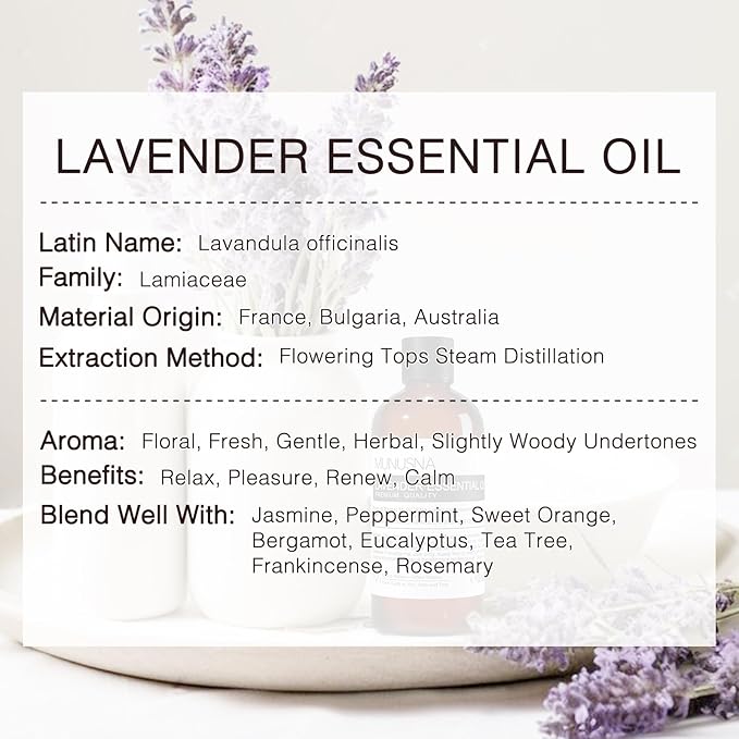 Lavender Essential Oil, Pure & Natural Lavender Oil 100ML, Premium Grade - Image 3