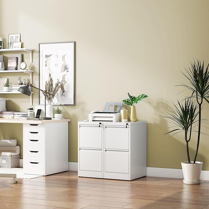 Reegangfa 2 Drawer File Cabinet with Lock, Metal Vertical Filing Cabinet, Lockable Heavy Duty Steel Small File Cabinets for Home Office, for A4 Legal/Letter Size Storage, White, Assembly Required