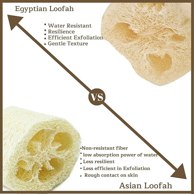 NileCart 22 Inch Egyptian Loofah Natural Luffa Sponges - Image 9